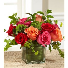 El Ramo de Rosas de FTD® Vida de Opulencia™
, El Ramo de Rosas de FTD® Vida de Opulencia™
