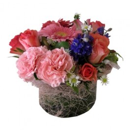 Confetti Blush, Confetti Blush