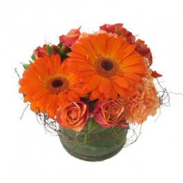 Forever Yours, Forever Yours