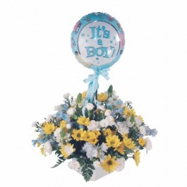 Bouncing Baby, Bouncing Baby