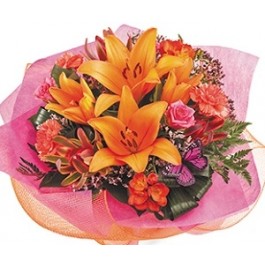 Bright and Bold, Bright and Bold