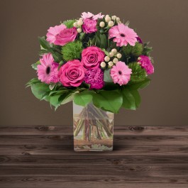 Amour Eternel Rose, Amour Eternel Rose