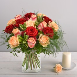 Abricotine, Abricotine