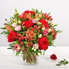 Frimousse, Frimousse