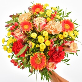 Tutti frutti, Tutti frutti