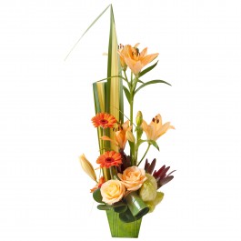 Destinée, Destinée