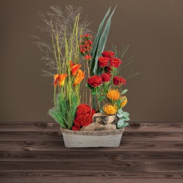 Jardin du souvenir, Jardin du souvenir