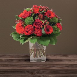 Amour Eternel Rouge, Amour Eternel Rouge