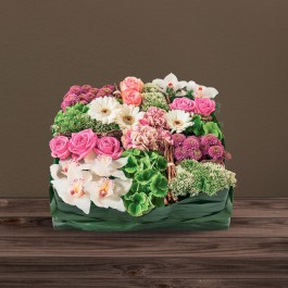 Requiem rose, Requiem rose