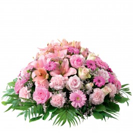 Pure rose, Pure rose