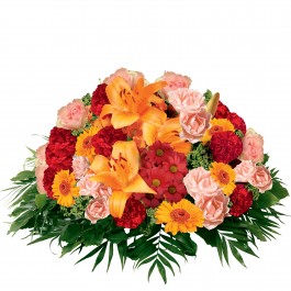 Pure orange rouge, Pure orange rouge