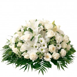 Pure blanc, Pure blanc