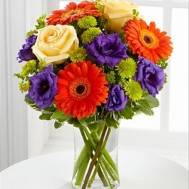 Rays Of Solace, Rays Of Solace