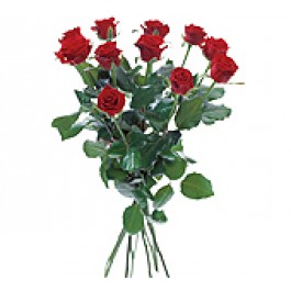 12 red roses, 12 red roses