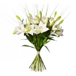 Dashing Lilies, Dashing Lilies