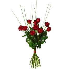 Bouquet with 10 red roses, Bouquet with 10 red roses