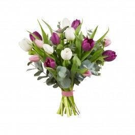 Tulip bouquet, Tulip bouquet