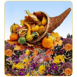 Ramo de Sorpresa / Thanksgiving, Ramo de Sorpresa / Thanksgiving