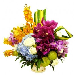 Warmest Heart, Warmest Heart