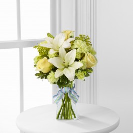 Boy Oh Boy, Boy Oh Boy