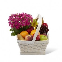 Garden Paradise Basket, Garden Paradise Basket