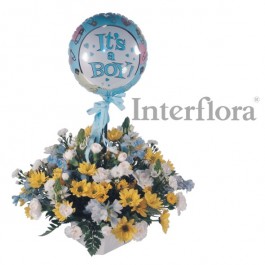 Bouncing Baby, Bouncing Baby