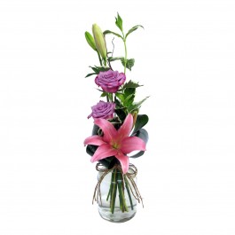 Starlight, Starlight