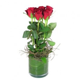 6 Red Roses In Vase, 6 Red Roses In Vase