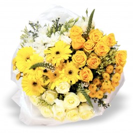 Dignify Large, Dignify Large