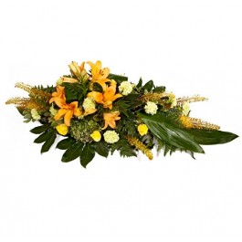 Palma mortuoria, Palma mortuoria