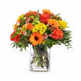 Get well soon!, Get well soon!