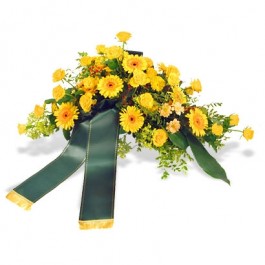 Palma mortuoria con cinta, Palma mortuoria con cinta