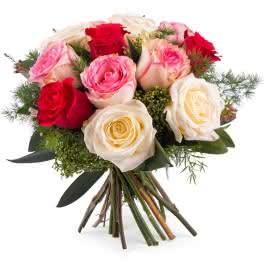 Delicadeza, Rosas Multicor de Pé Curto