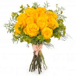 Amanhecer, Rosas Amarelas de Pé Curto