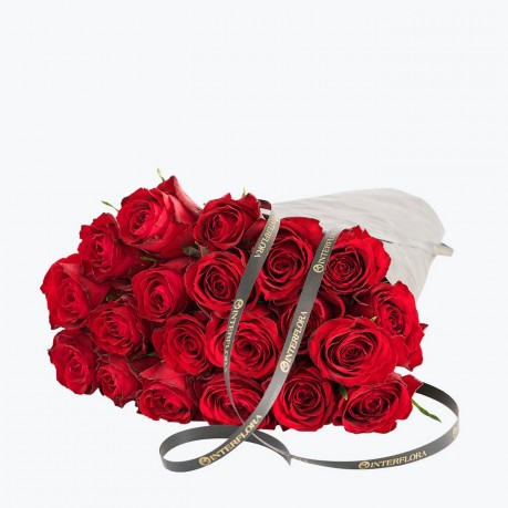 Red Roses, Gift Wrapped, Red Roses, Gift Wrapped