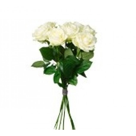 White Roses, White Roses