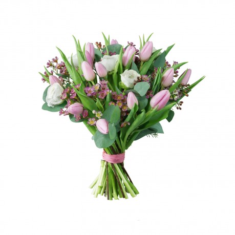 Pink & White Tulips, Pink & White Tulips