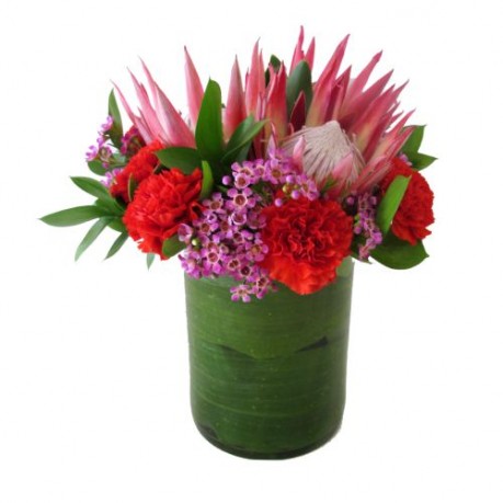 Infatuation, Infatuation