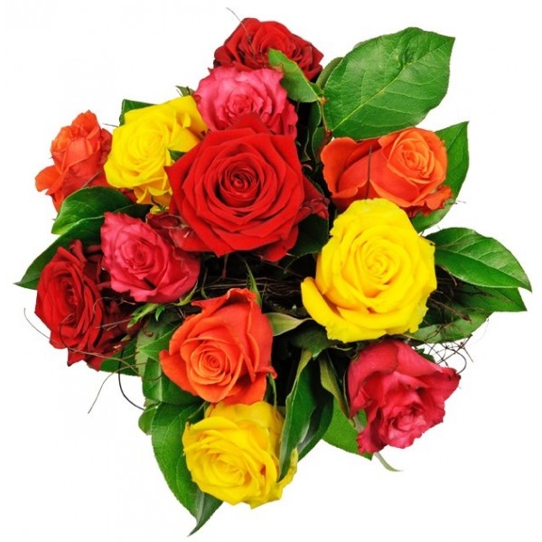 Afección - 12 Rosas Mistas, Afección - 12 Rosas Mistas