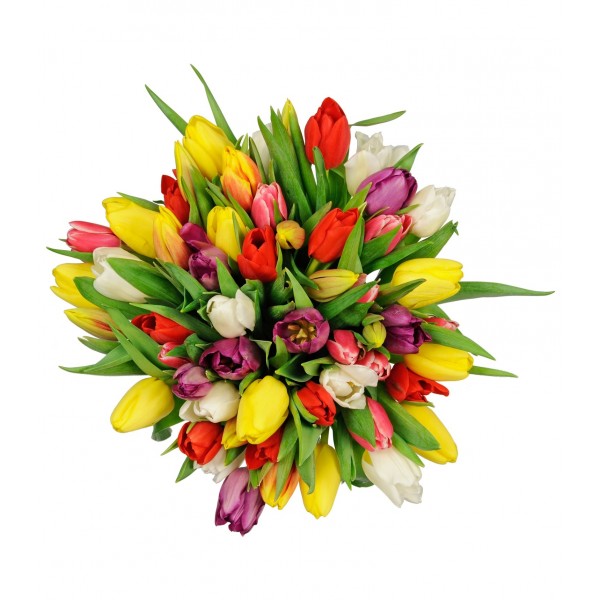 Bouquet-Surpresa com tulipanes / Cor à escolha, Bouquet-Surpresa com tulipanes / Cor à escolha