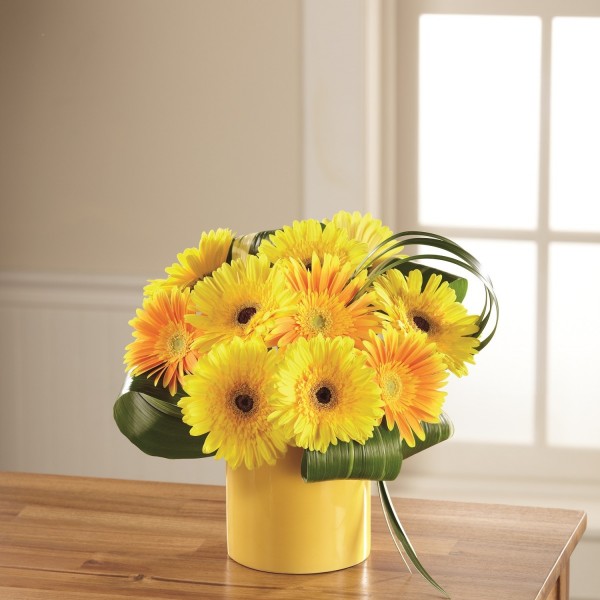 The FTD® Sunny Surprise™ Bouquet C5-5156, The FTD® Sunny Surprise™ Bouquet C5-5156