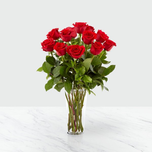 12 rosas de tallo large, 12 rosas de tallo large