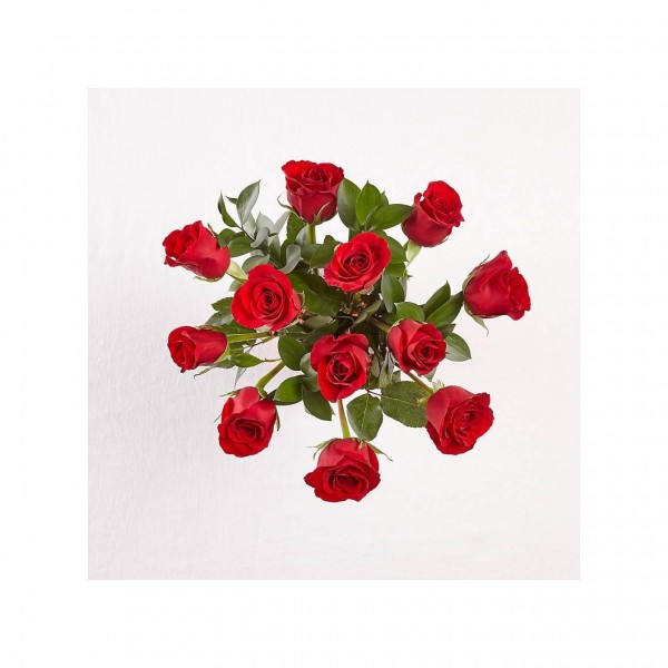 12 rosas de tallo corto, 12 rosas de tallo corto