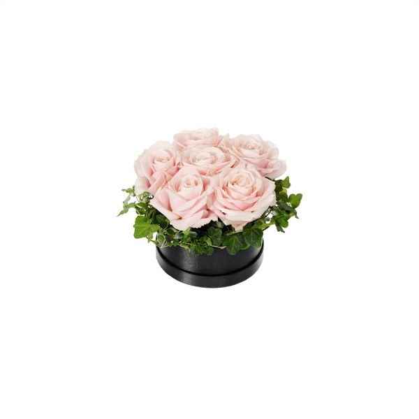 Small Flower Box, Pink Roses, Small Flower Box, Pink Roses