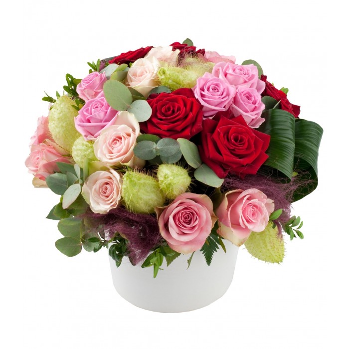 Romantic Roses, Romantic Roses