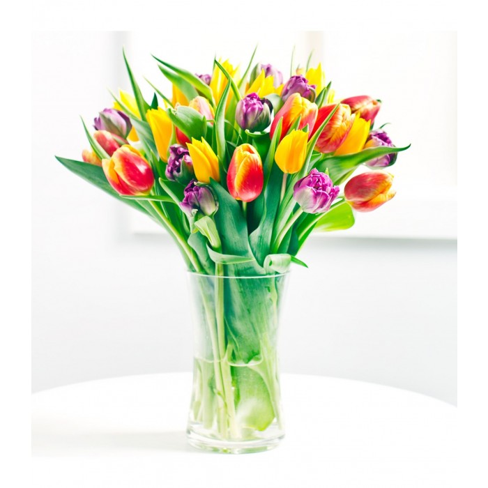 Seasonal bouquet of tulips, Seasonal bouquet of tulips