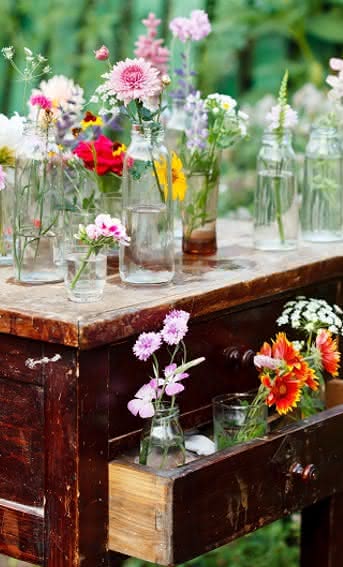 5 contas de Instagram para amantes de flores