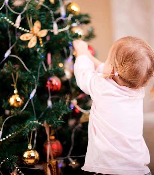 Árvores naturais de Natal para surpreender as crianças