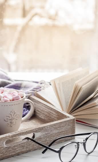 Plantas para decorar a sua casa ao estilo ‘hygge’ e começar um ano de felicidade