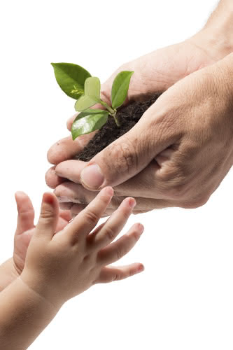 Plantas de presente: conselhos para saber qual escolher